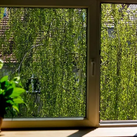 Apartment Leveloft - Przestronny, Stylowy Apartament Na Zielonej Ulicy W Centrum *