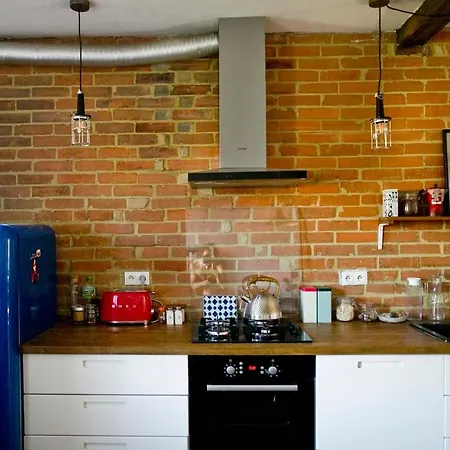 Leveloft - Przestronny, Stylowy Apartament Na Zielonej Ulicy W Centrum Breslavia