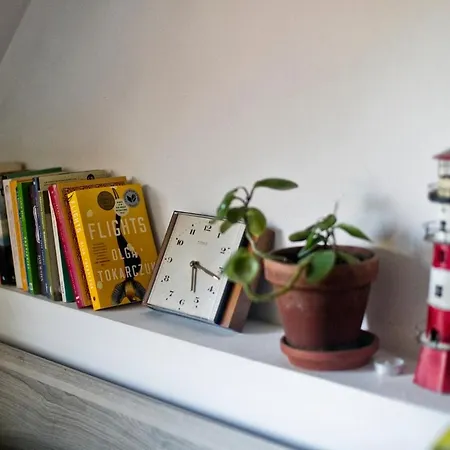 Leveloft - Przestronny, Stylowy Apartament Na Zielonej Ulicy W Centrum Wroclaw